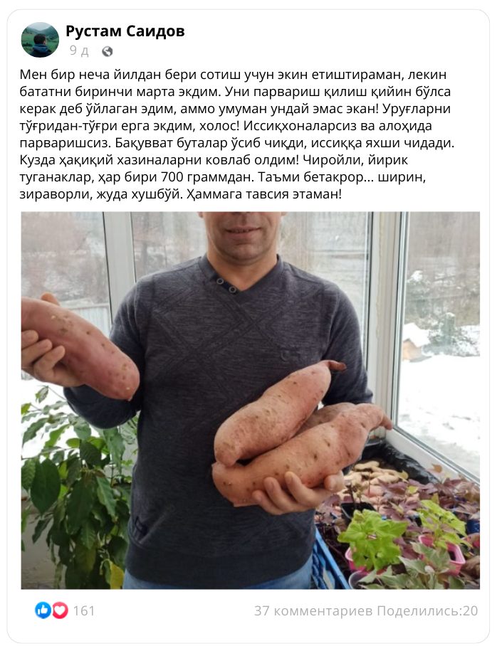Заголовок